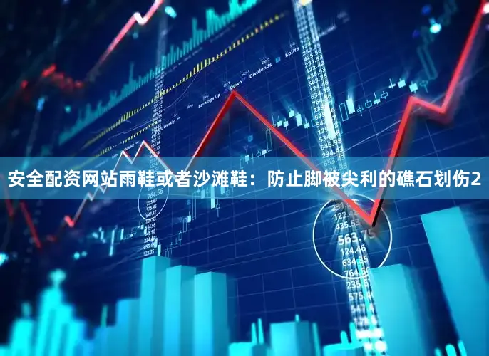 安全配资网站雨鞋或者沙滩鞋：防止脚被尖利的礁石划伤2