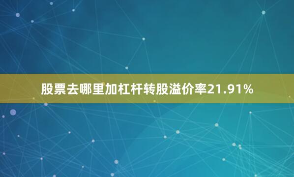 股票去哪里加杠杆转股溢价率21.91%