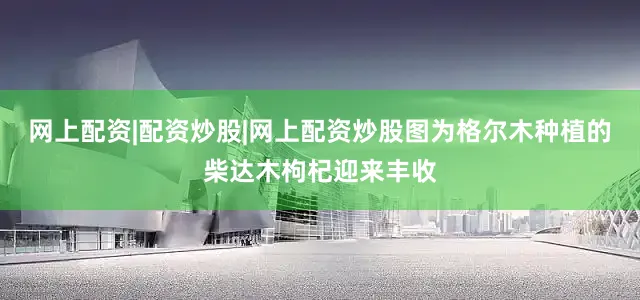 网上配资|配资炒股|网上配资炒股　　图为格尔木种植的柴达木枸杞迎来丰收